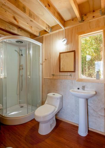 a bathroom with a toilet and a shower and a sink at Cabaña Raymapu in Puelo
