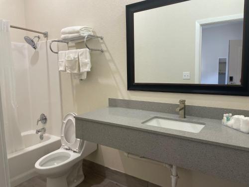 a bathroom with a sink and a toilet and a mirror at Quality Inn in Elgin