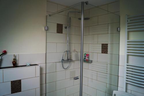 a shower with a glass door in a bathroom at Ferienwohnung Luise Blum in Steffeln