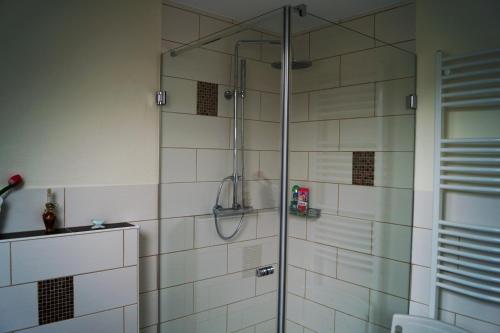 Koupelna v ubytování Ferienwohnung Luise Blum