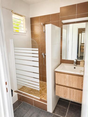 a bathroom with a shower and a sink at Soleya Studio in Le Moule