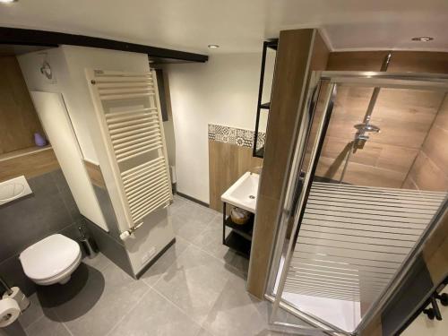 a bathroom with a shower and a toilet and a sink at Au doux gîte in Bras-Haut