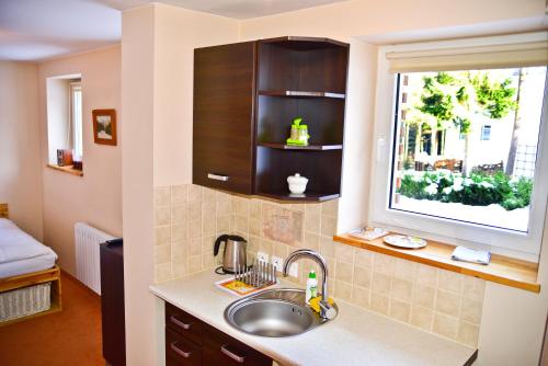a kitchen with a sink and a window at Apartament Górski - Apartamentuj in Karpacz