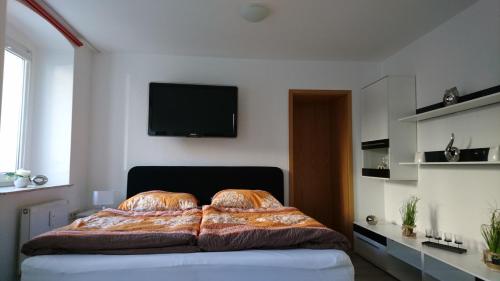 Schlafzimmer mit einem Bett und einem TV an der Wand in der Unterkunft Citywohnung im Paulusviertel II in Halle an der Saale