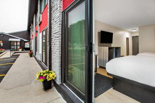 a hotel room with a bed and a window at Ramada by Wyndham Kingston in Kingston