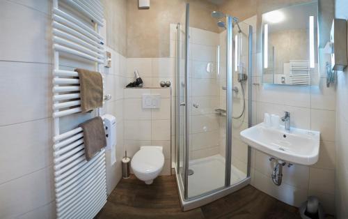 a bathroom with a shower and a toilet and a sink at Rammersweier Hof in Offenburg