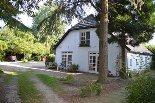 Κήπος έξω από το B&B Stadsoase Nijmegen