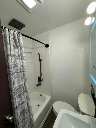 a bathroom with a toilet and a shower curtain at Anchorage Fireoved Home Theater Experience in Anchorage