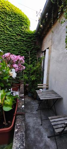 Appartement Cité de Carcassonne