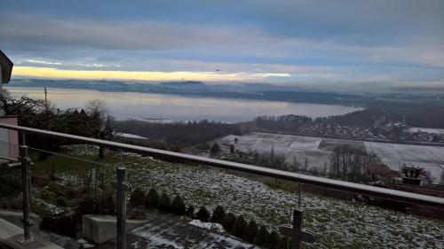 a view of a body of water from a balcony at Swiss Borzoi House in Bellerive