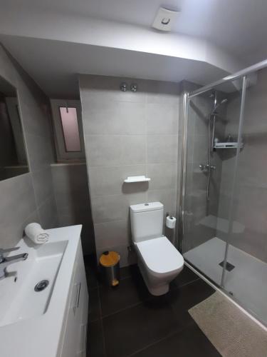 a bathroom with a toilet and a shower and a sink at O Recuncho de Mugardos in Mugardos
