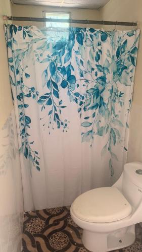 a bathroom with a toilet and a shower curtain at Hostal Flores in David