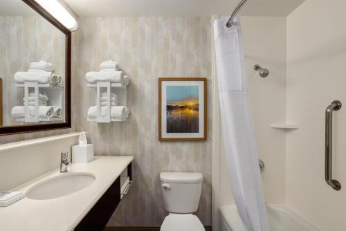 a bathroom with a sink and a toilet and a shower at Hampton Inn Springfield-South in Springfield