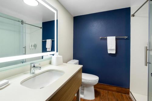 a bathroom with a white sink and a blue wall at Spark By Hilton Staunton in Staunton