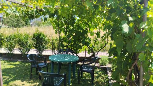 a green table and chairs under a tree at Nonna Evy in Pergine Valsugana