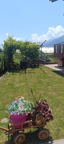 a wheelbarrow filled with flowers in a yard at Nonna Evy in Pergine Valsugana