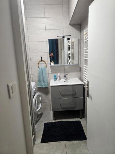 a bathroom with a sink and a mirror at Cozy haven in Venise Provençale in Martigues