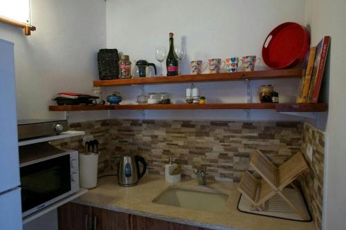 um balcão de cozinha com um lavatório e um micro-ondas em la noach em Metulla