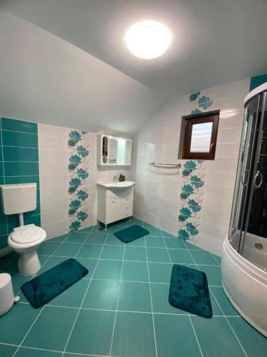 a bathroom with a toilet and a sink at Alpine Grace Retreat in Novaci-Străini