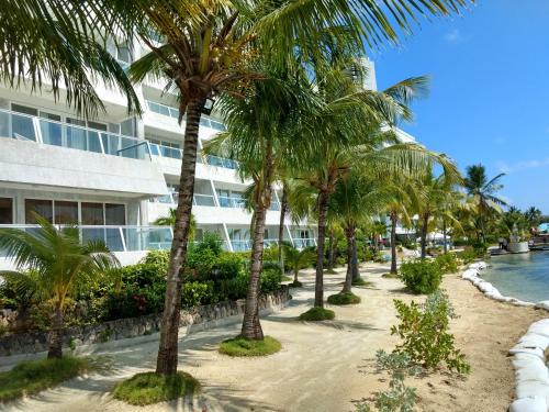 een rij palmbomen voor een gebouw bij Caribbean Apartments in San Andrés