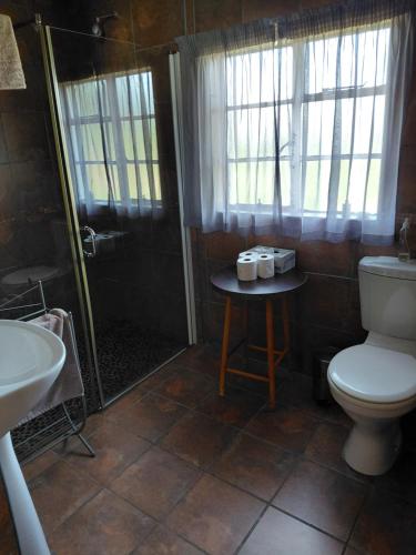 a bathroom with a shower and a toilet and a sink at Heaven Can Wait Countryside Estate in Riversdale