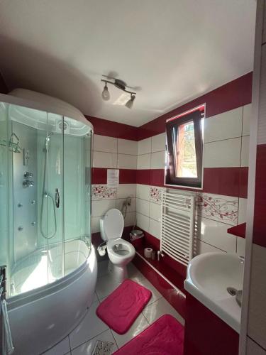 a bathroom with a shower and a toilet and a sink at Colț de rai - camera de inchiriat in Reşiţa