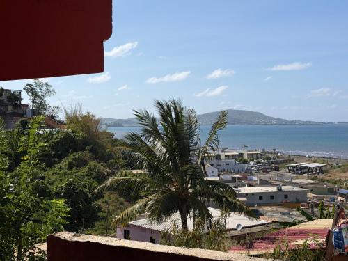 a palm tree in front of a town and the ocean at Appartement vu sur mer in Mamoudzou