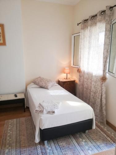 Comfortable Studio in Central Funchal - 20 m² - Terrace