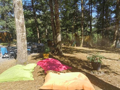 two tents laying on the ground next to a tree at La Parenthèse Meslandaise in Mesland
