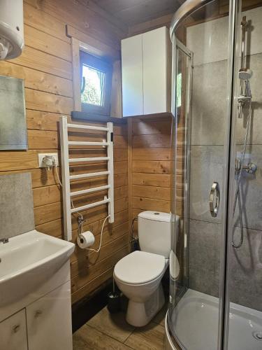 a bathroom with a toilet and a glass shower at Domki- Limanowa, domki z balią i sauną in Limanowa