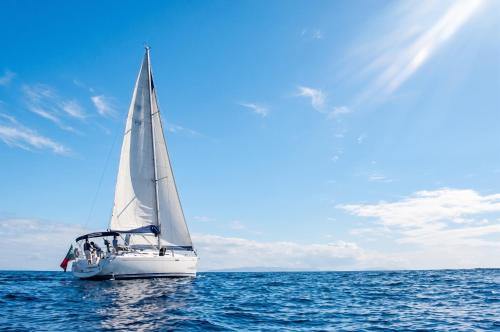 Charming Boat in Funchal with Sea View