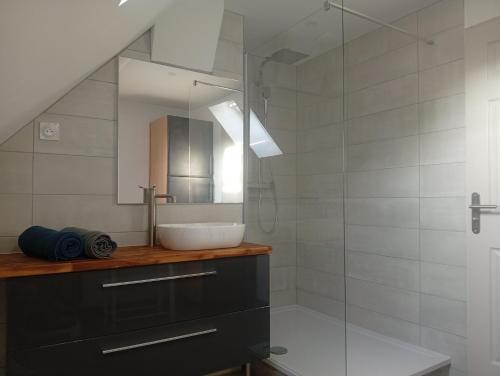 a bathroom with a sink and a mirror at Cote d'opale Terre & Mer in Outreau
