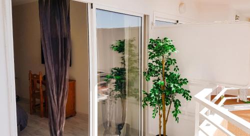 Welcoming studio in Torremolinos 45 m² with shared pool