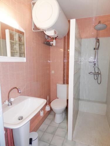 a bathroom with a toilet and a sink and a shower at Studio charmant dans Brioude – 25 m² avec terrasse et parking in Brioude