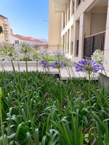 Appartement Moderne à Marseille avec Balcon et Vue sur Jardin