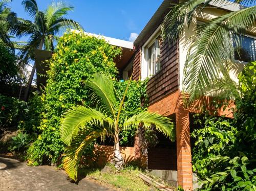 a house with a palm tree in front of it at Bungalow cosy à Saint-Leu, vue sur la mer. in Saint-Leu