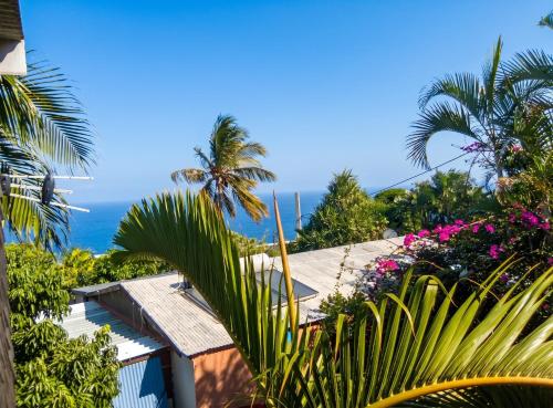 a view of a house with palm trees and flowers at Bungalow cosy à Saint-Leu, vue sur la mer. in Saint-Leu