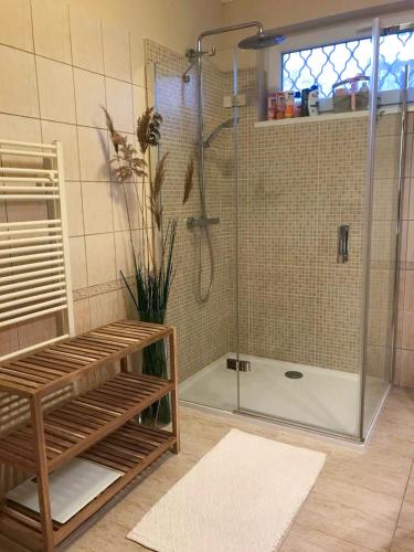 a shower with a glass door in a bathroom at Lily House in Balatonvilágos