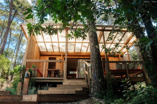 a house in the woods with a tree at Les Maritimes in Seignosse
