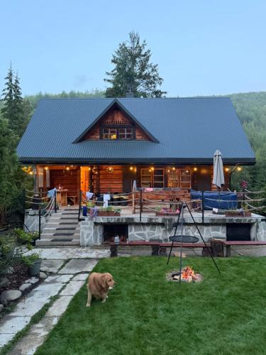 a dog standing in the grass in front of a house at Ujsoły Chill House w Beskidach, Beskid Żywiecki in Ujsoły