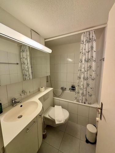 a bathroom with a sink and a toilet and a mirror at Basic Apartment in Witikon district in Zurich