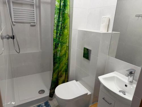 a bathroom with a shower toilet and a sink at Pokoje u Janeczki in Jałowo