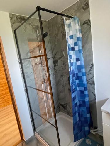 a shower with a glass enclosure in a bathroom at Casa Moroseneasca Breb in Breb