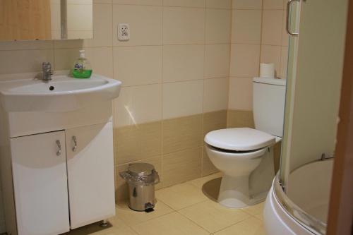 a bathroom with a white toilet and a sink at Bondyrz 134 in Bondyrz