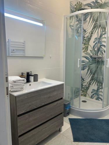 a bathroom with a sink and a shower at Gite d'Oliva in Suèvres