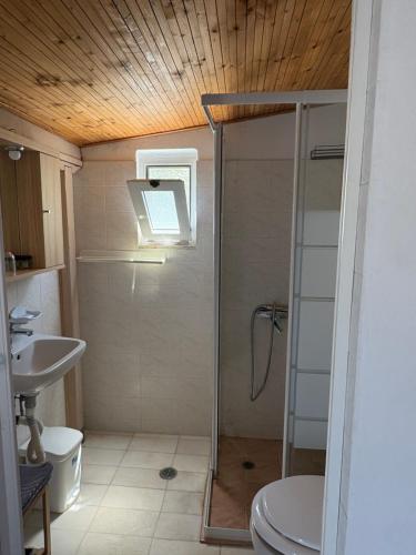a bathroom with a shower and a toilet and a sink at Studio Apartments in Monemvasia