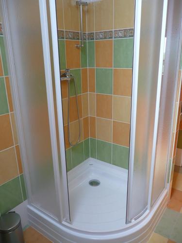 a shower with a glass door in a bathroom at Penzion Lipina in Slatiňany