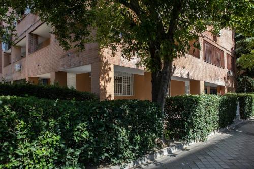 Palomeras, Habitación de Ensueño