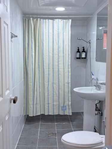 a bathroom with a shower curtain and a sink at 헤이데이서울 in Seoul