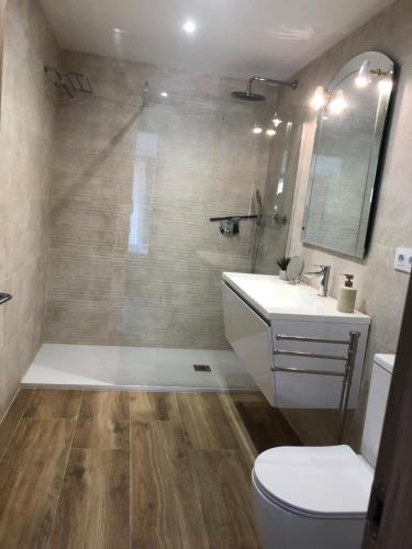 a bathroom with a toilet and a sink and a shower at El Balcón de La Vega in Vinuesa